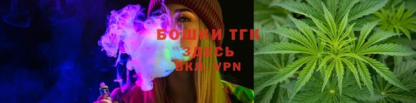 твердый Богданович