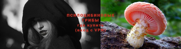 твердый Богданович