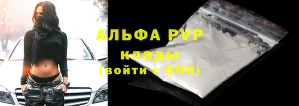 твердый Богданович