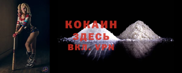 твердый Богданович