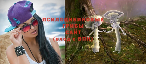 твердый Богданович