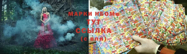 твердый Богданович